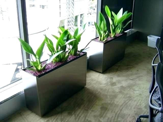 Best ideas about Window Sill Planter Indoor
. Save or Pin Window Sill Planter Indoor Indoor Window Planter Indoor Now.