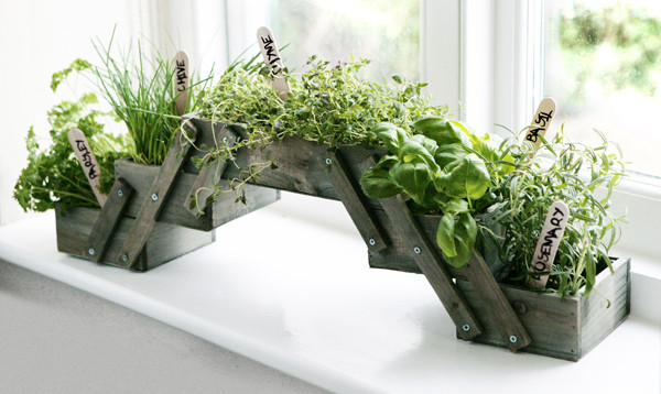 Best ideas about Window Sill Planter Indoor
. Save or Pin Shabby Chic Foldable Herb Planter Kit with Seeds Grow Now.