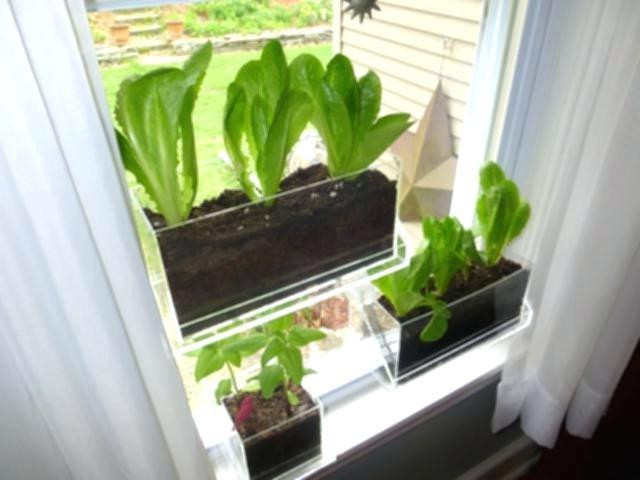 Best ideas about Window Sill Planter Indoor
. Save or Pin window sill planter – thepoultrykeeperub Now.