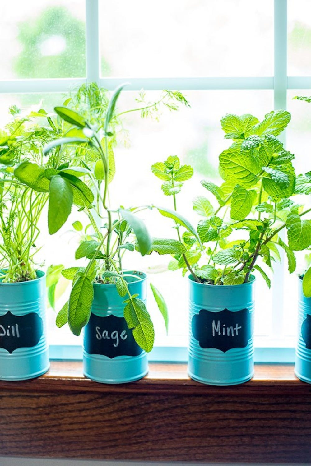 Best ideas about Window Sill Planter Indoor
. Save or Pin 10 Easy Ways to make Your Own Indoor Herb Garden Wartaku Now.