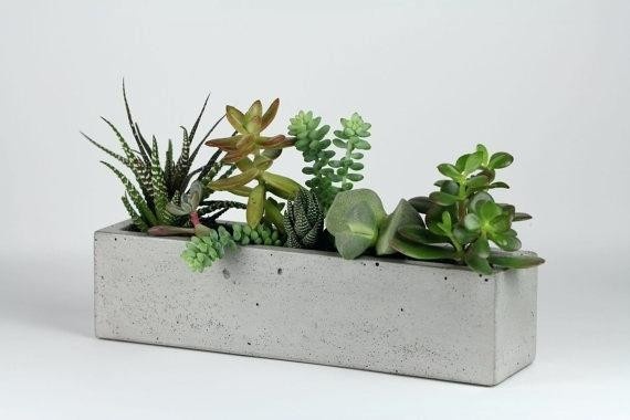 Best ideas about Window Sill Planter Indoor
. Save or Pin window sill planter – thepoultrykeeperub Now.