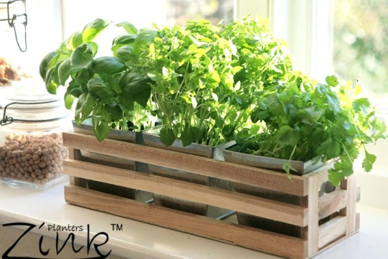 Best ideas about Window Sill Planter Indoor
. Save or Pin window sill planter – thepoultrykeeperub Now.