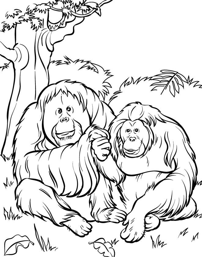 Best ideas about Zoo Animals Printable Coloring Pages
. Save or Pin Free Printable Zoo Coloring Pages For Kids Now.