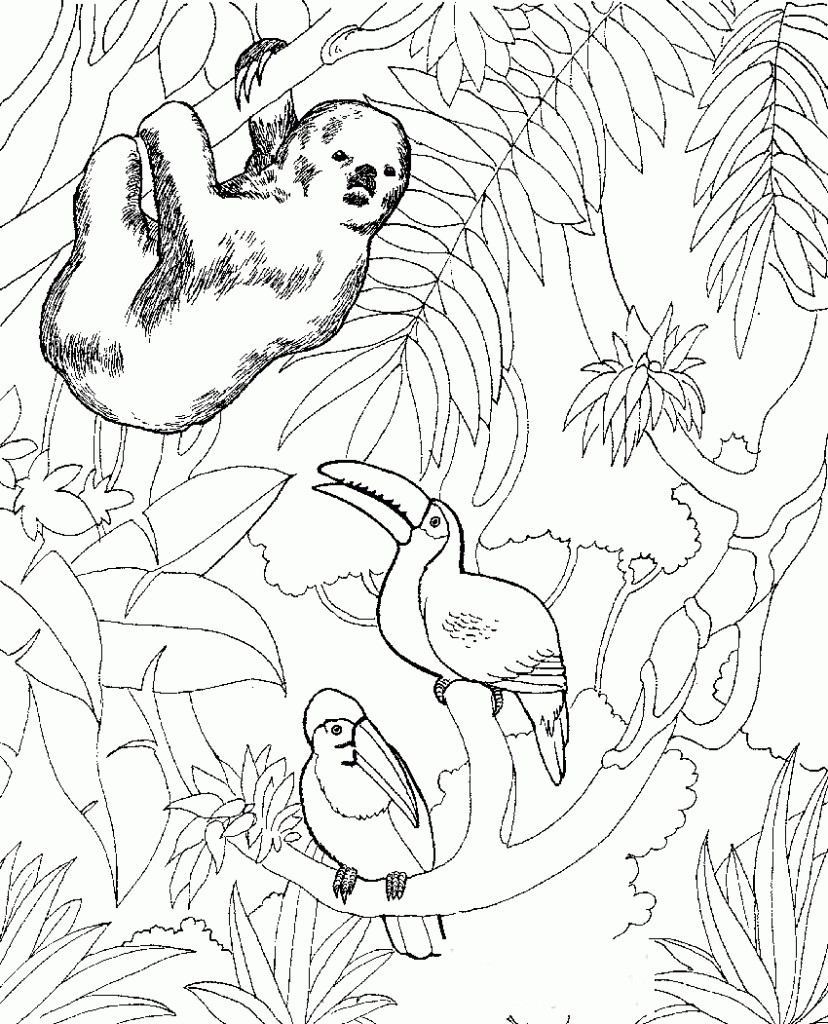 Best ideas about Zoo Animals Printable Coloring Pages
. Save or Pin Free Printable Zoo Coloring Pages For Kids Now.