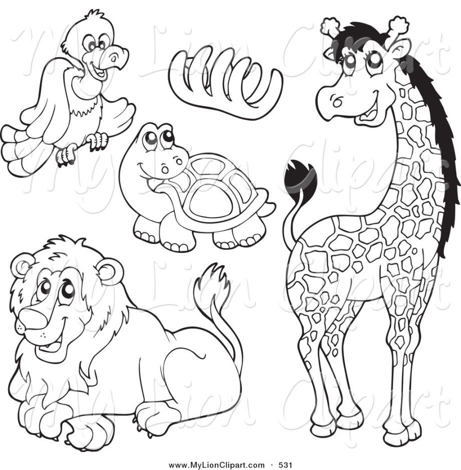 Best ideas about Zoo Animals Printable Coloring Pages
. Save or Pin Zoo Coloring Worksheets Pages grig3 Now.