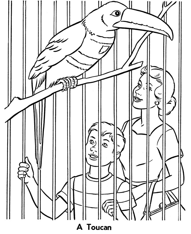 Best ideas about Zoo Animals Printable Coloring Pages
. Save or Pin Free Printable Zoo Coloring Pages For Kids Now.