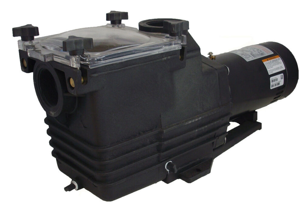Best ideas about 1 Hp Inground Pool Pump
. Save or Pin 1 HP 3450 RPM 230 Volts Two Speed Inground Swimming Pool Now.