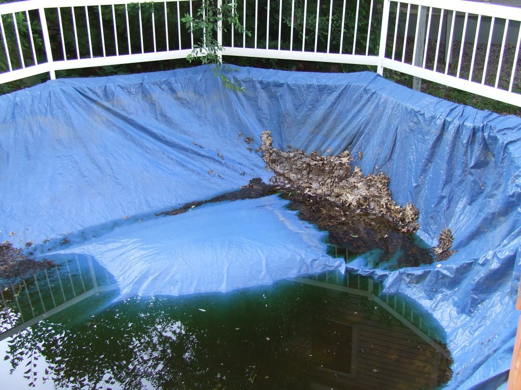 Best ideas about Above Ground Pool Cover
. Save or Pin How to Open an Inground Swimming Pool Now.