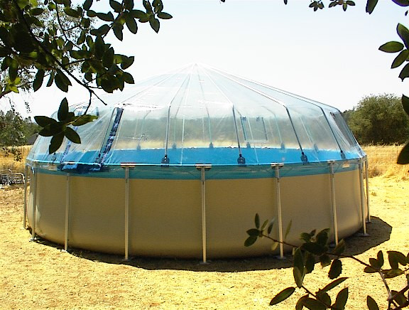 above ground swimming pool dome