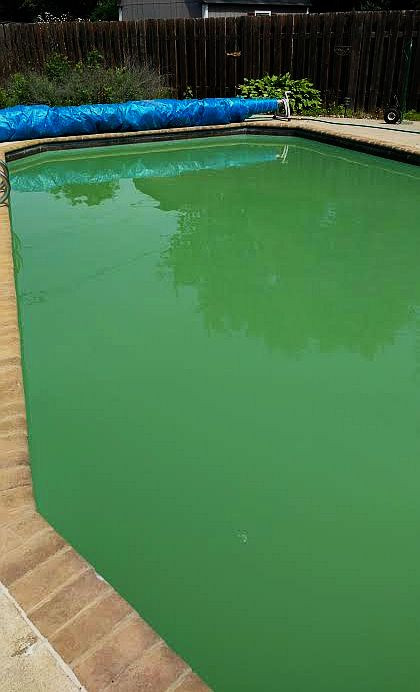Best ideas about Above Ground Pool Maintenance
. Save or Pin Swimming Pool Care Testimonies Pool Testimonials From Now.
