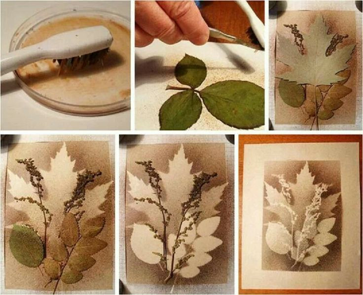 Best ideas about Adult Art Projects
. Save or Pin Splatter art with layered leaves Now.