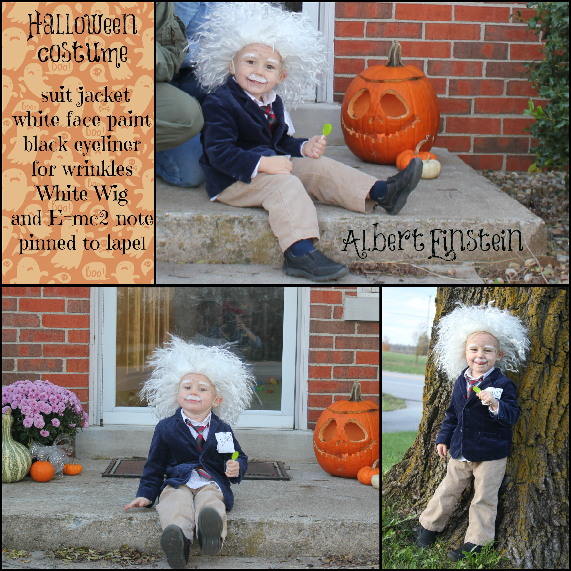 Best ideas about Albert Einstein Costume DIY
. Save or Pin Child s Halloween Costume Albert Einstein Now.