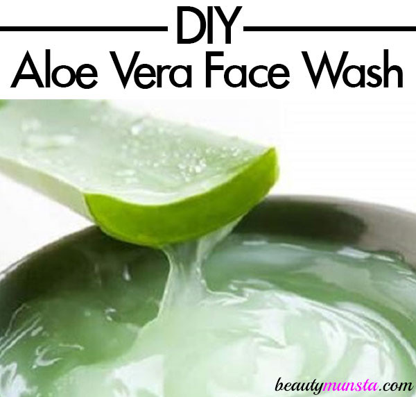 Best ideas about Aloe Face Mask DIY
. Save or Pin DIY Aloe Vera Cleanser Face Wash Recipe Now.