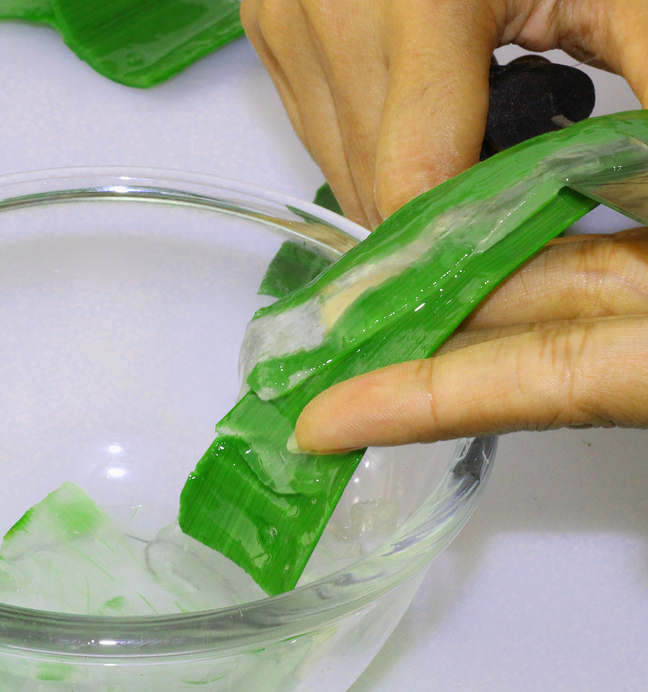 Best ideas about Aloe Face Mask DIY
. Save or Pin DIY Aloe Vera Mask for Skin & Hair Now.