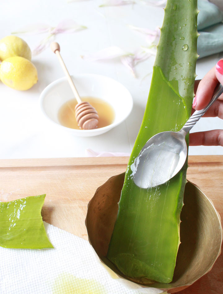 Best ideas about Aloe Face Mask DIY
. Save or Pin DIY Aloe Vera Face mask Now.