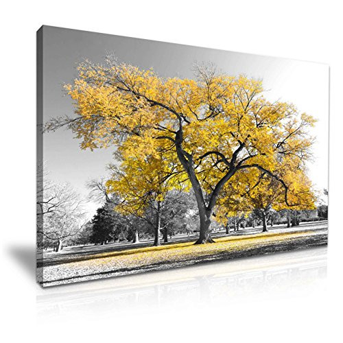 Best ideas about Amazon Wall Art
. Save or Pin Yellow Wall Art Amazon Now.