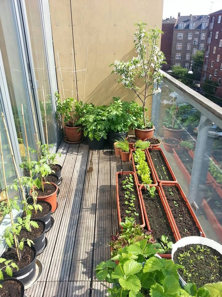 Best ideas about Apartment Garden Ideas
. Save or Pin 25 Best Ideas about Balcony Garden on Pinterest Now.