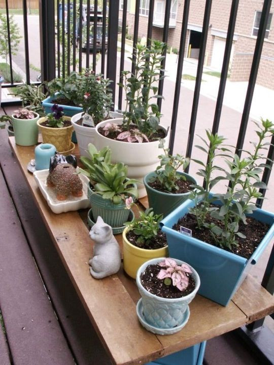 Best ideas about Apartment Garden Ideas
. Save or Pin 25 trending Apartment patio gardens ideas on Pinterest Now.