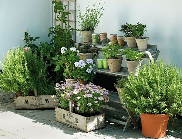 Best ideas about Apartment Garden Ideas
. Save or Pin 7 Apartment Herb Garden Tips Now.