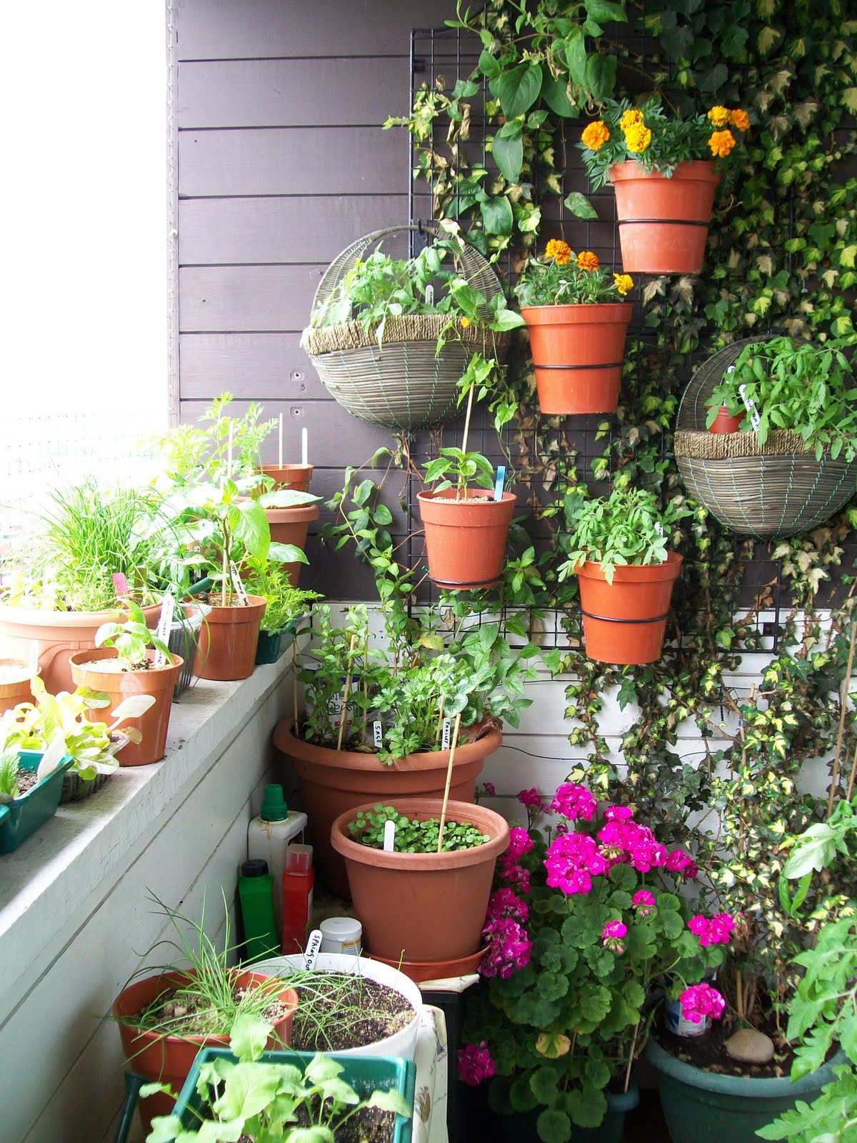 Best ideas about Apartment Garden Ideas
. Save or Pin balcony gardening Now.