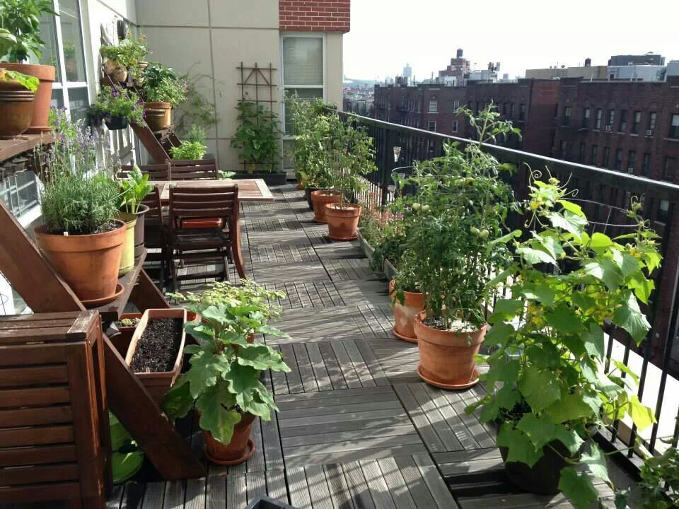 Best ideas about Apartment Patio Garden Ideas
. Save or Pin 60 Best Balcony Ve able Garden ideas 2016 RoundPulse Now.