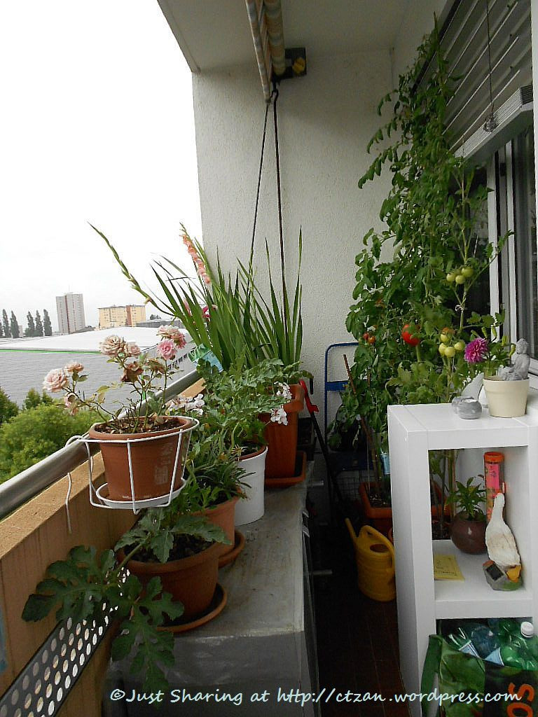 Best ideas about Apartment Patio Garden Ideas
. Save or Pin Best Small Balcony Garden Ideas Balcony Garden Model 17 Now.