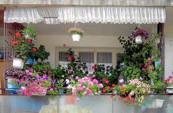 Best ideas about Apartment Patio Garden Ideas
. Save or Pin 11 Small Apartment Balcony Ideas with Now.