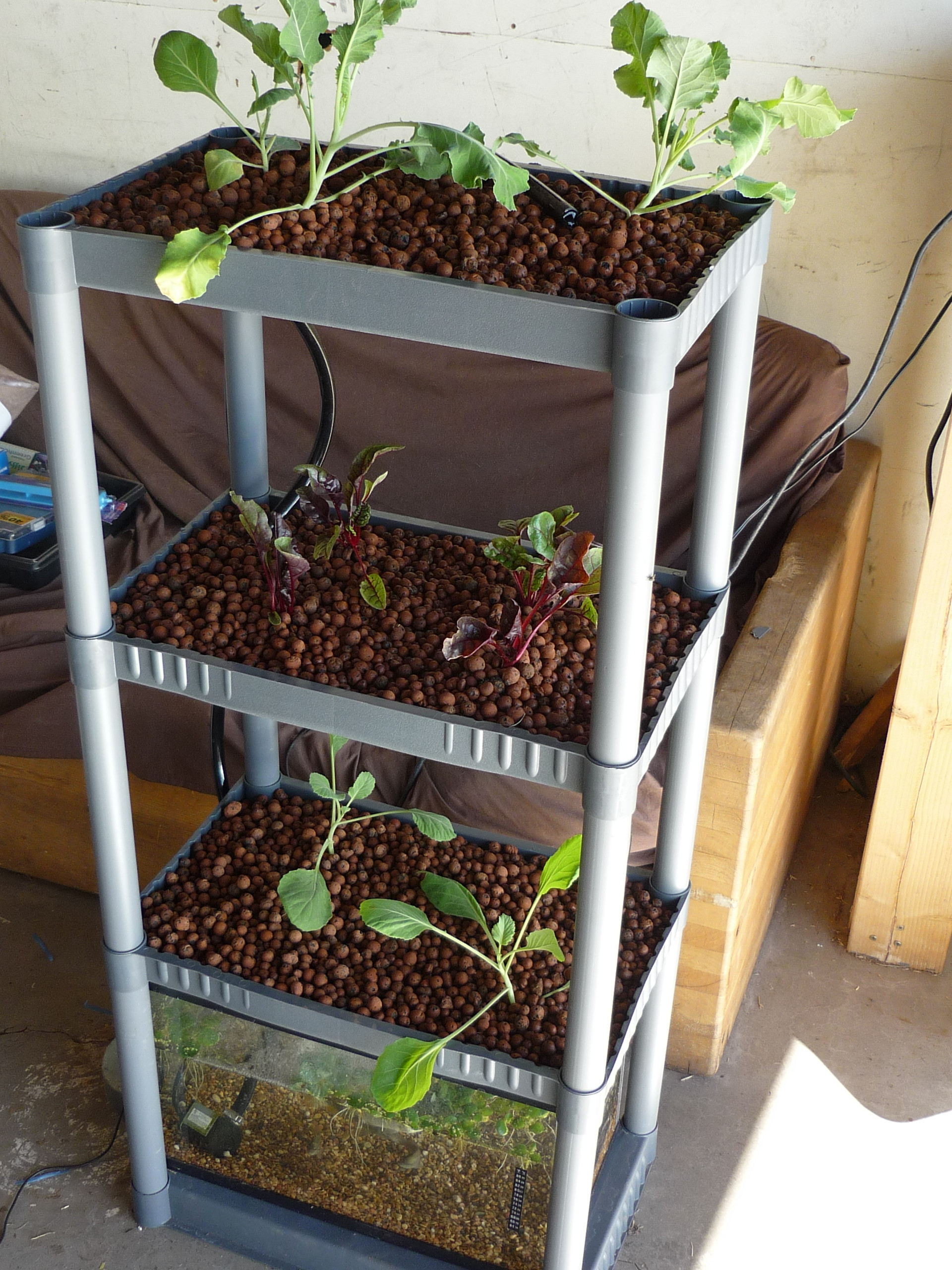Best ideas about Aquaponics DIY Plans
. Save or Pin 12 DIY Aquaponics System For Indoor And Backyard Now.