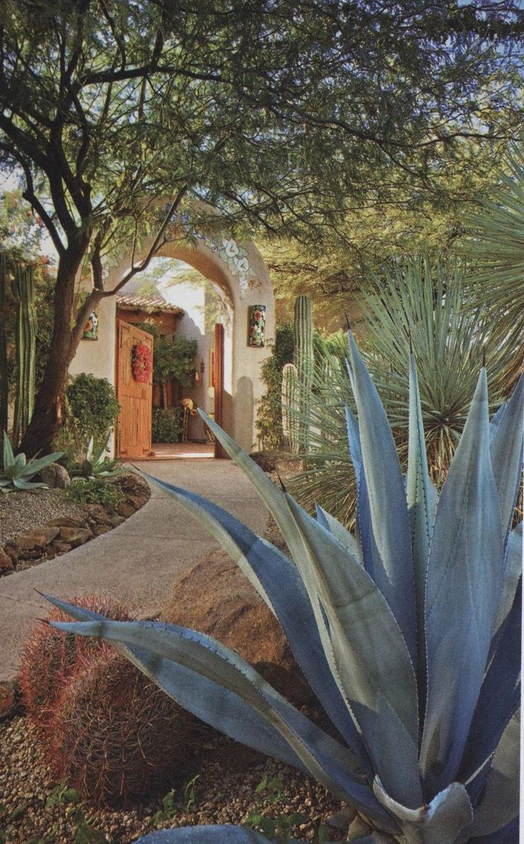 Best ideas about Arizona Landscape Ideas
. Save or Pin Best 25 Arizona landscaping ideas on Pinterest Now.