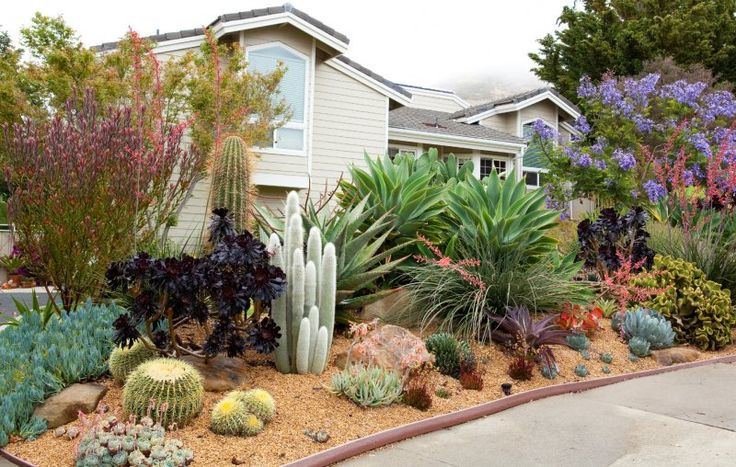 Best ideas about Arizona Landscape Ideas
. Save or Pin 25 best ideas about Arizona landscaping on Pinterest Now.