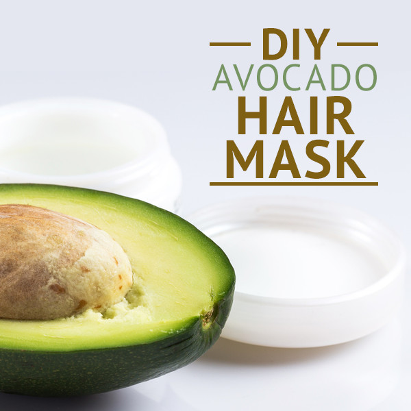 Best ideas about Avocado Hair Mask DIY
. Save or Pin Moisturize Your Hair With A DIY Avocado And Honey Mask Now.