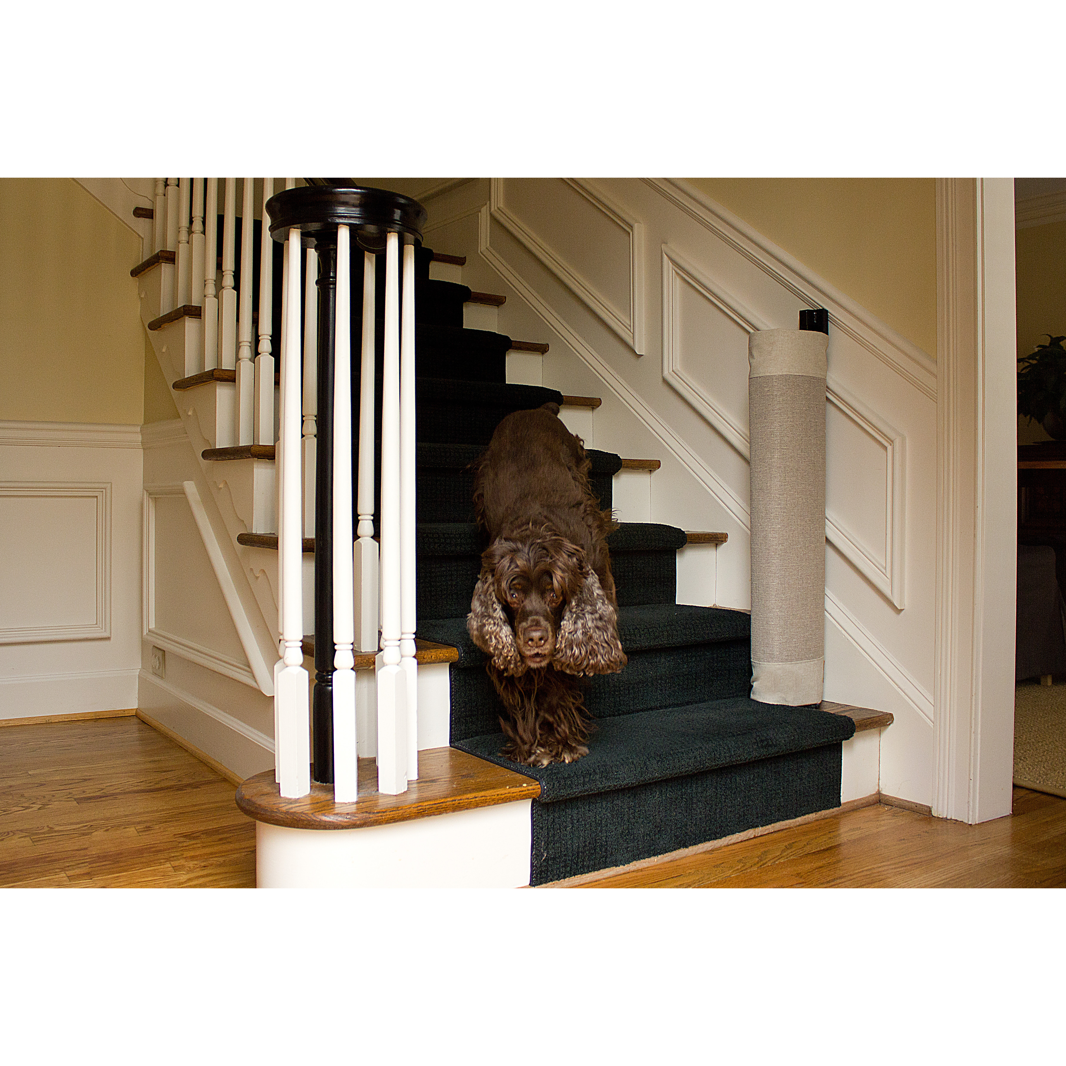 Best ideas about Baby Gate For Stairs With Banister And Wall
. Save or Pin TheStairBarrier Signature Wall to Banister Khaki Gate Now.