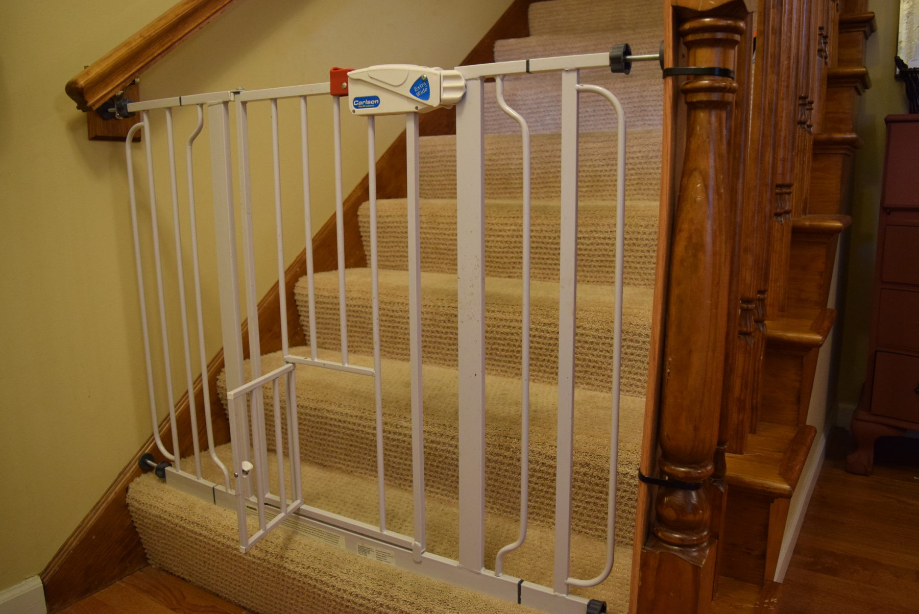 Best ideas about Baby Gate With Cat Door
. Save or Pin baby proof stairs with cat gate baby proof stairs Now.