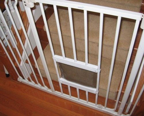 Best ideas about Baby Gate With Cat Door
. Save or Pin Cat Flap in a Baby Gate Now.