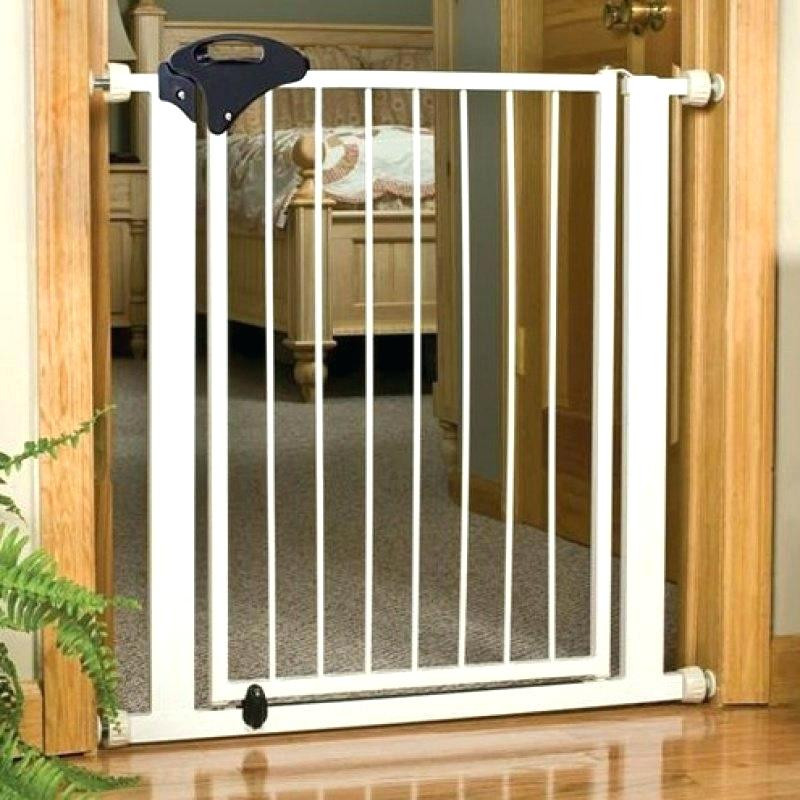 Best ideas about Baby Gate With Cat Door
. Save or Pin Walk Cat Baby Gate Jumps Over Video Through With Pet Door Now.