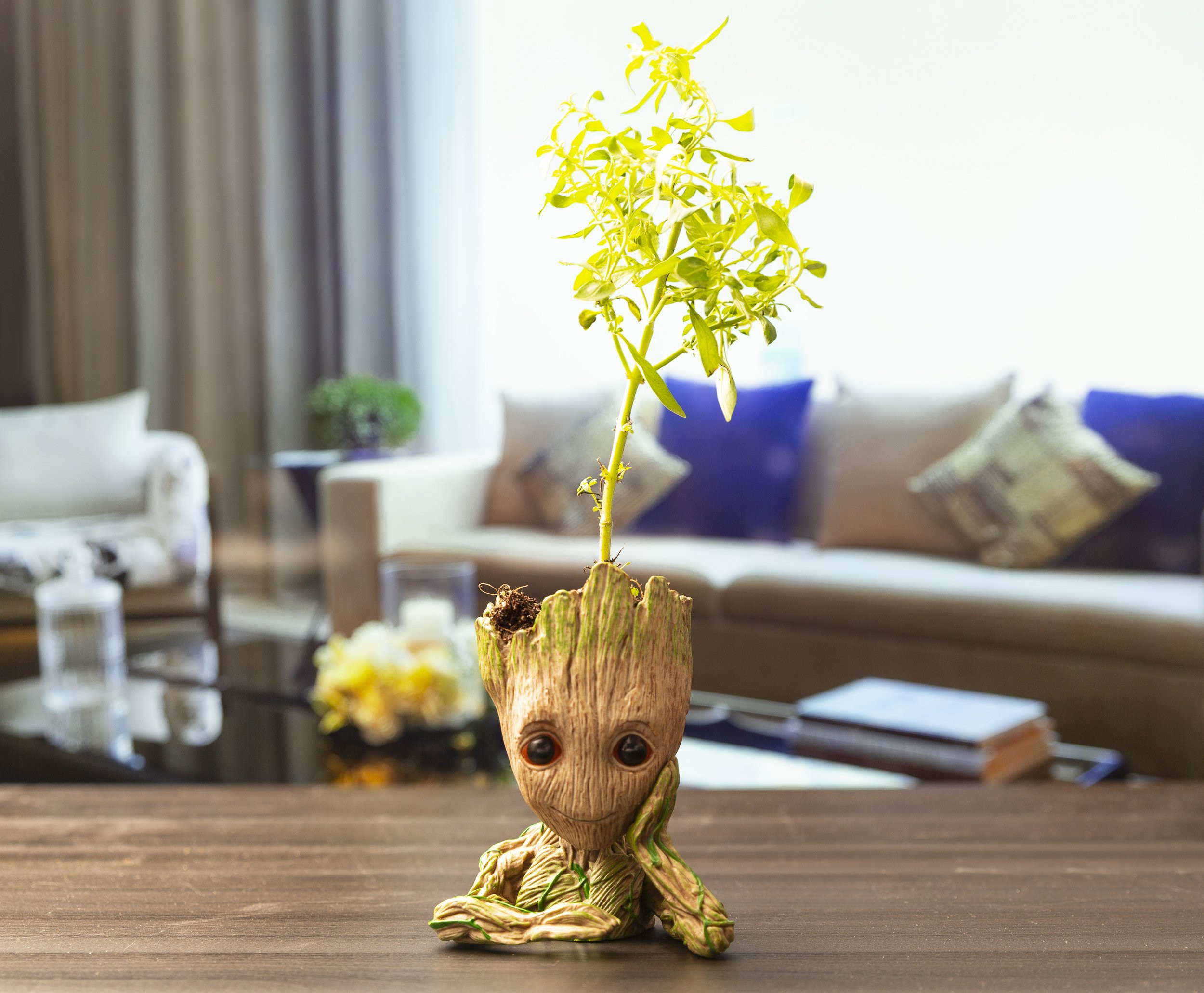 Best ideas about Baby Groot Flower Pot Amazon
. Save or Pin Greenwich Guardians of The Galaxy Baby Groot Flower Pot Now.