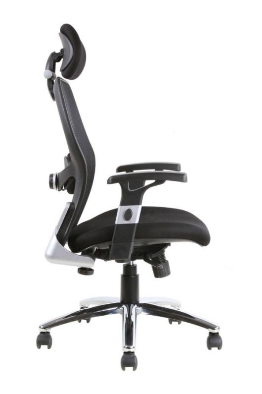 Best ideas about Back Support For Office Chair
. Save or Pin Sanderson Luxury mesh back office chair inc Lumbar support Now.