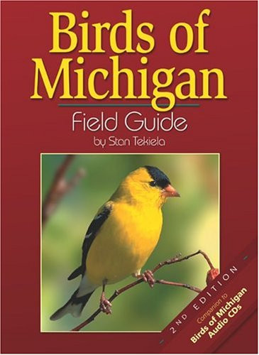 Best ideas about Backyard Birds Of Michigan
. Save or Pin Nine mon Birds in Our Backyard Now.
