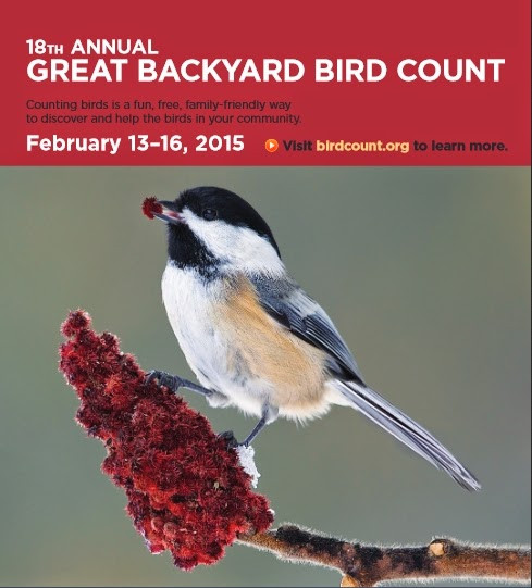 Best ideas about Backyard Birds Of Michigan
. Save or Pin Wild Birds Unlimited Preparing for the big Now.