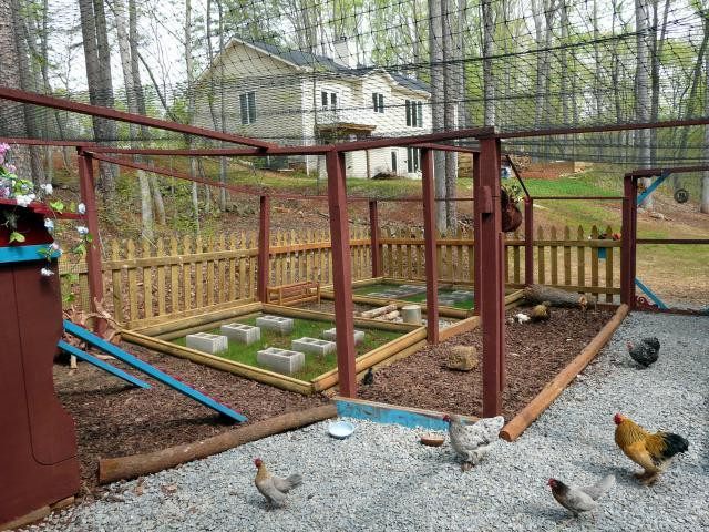 Best ideas about Backyard Chickens Forum
. Save or Pin Ariannas Chicken Coop Now.