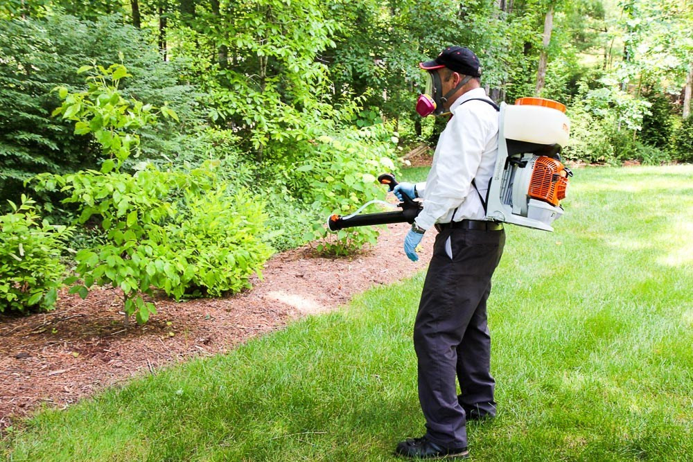 Best ideas about Backyard Mosquito Control
. Save or Pin 3 Ways to Have a Mosquito Free Summer Now.
