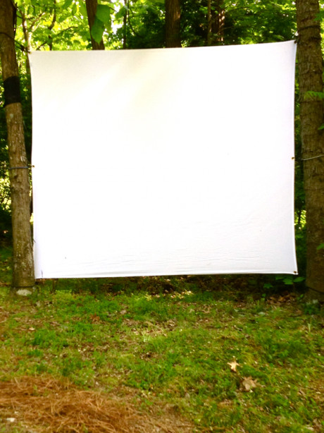 Best ideas about Backyard Movie Screen
. Save or Pin DIY outdoor movie screen – M O D F R U G A L Now.