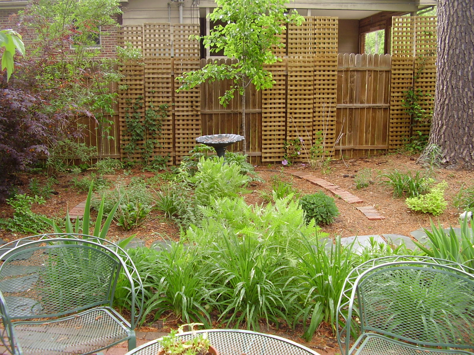 Best ideas about Backyard Oasis Ideas
. Save or Pin Show me your backyard "oasis" who did it & how much it Now.