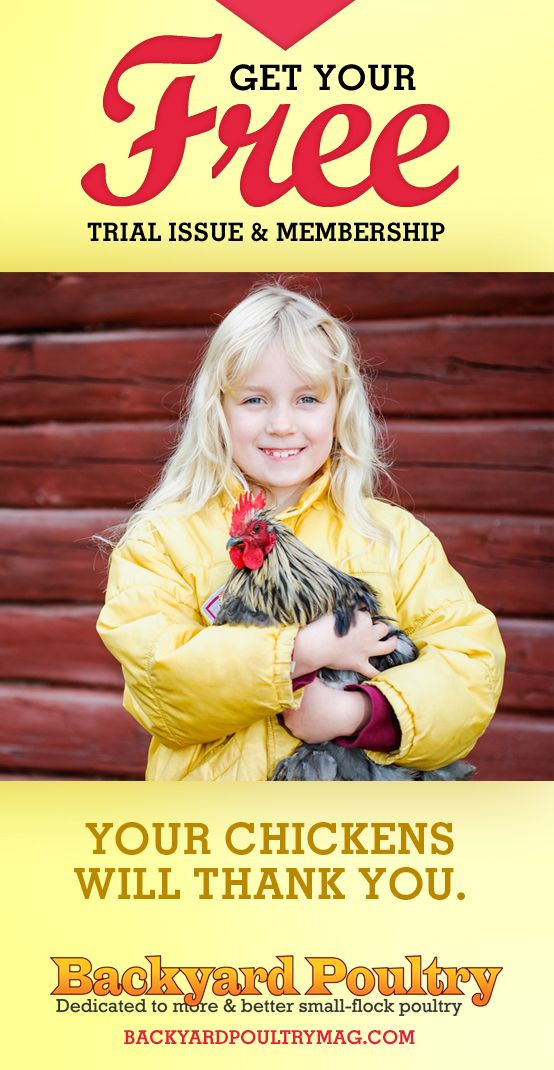 Best ideas about Backyard Poultry Magazine
. Save or Pin Backyard Poultry Magazine Now.