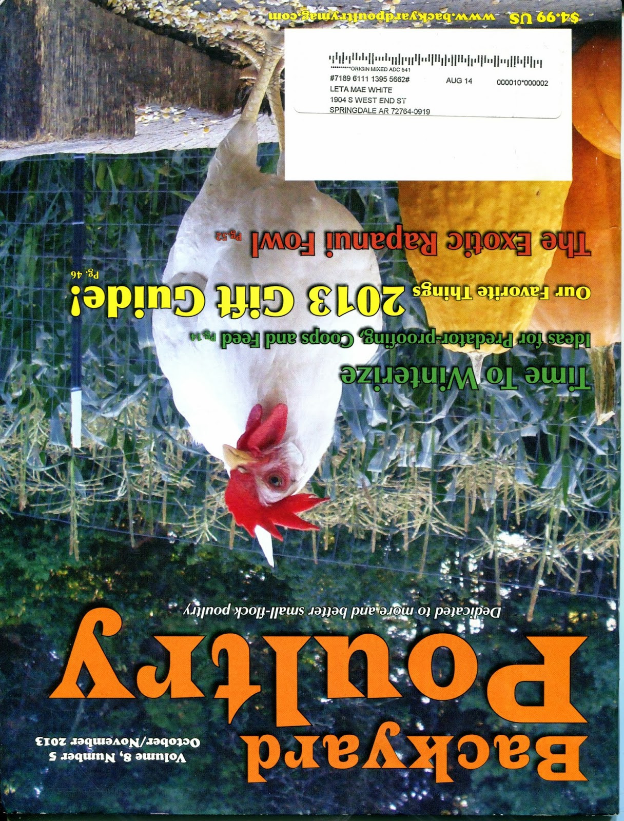 Best ideas about Backyard Poultry Magazine
. Save or Pin Rod s Duck Farm Rod s Duck Farm says Backyard Poultry Now.