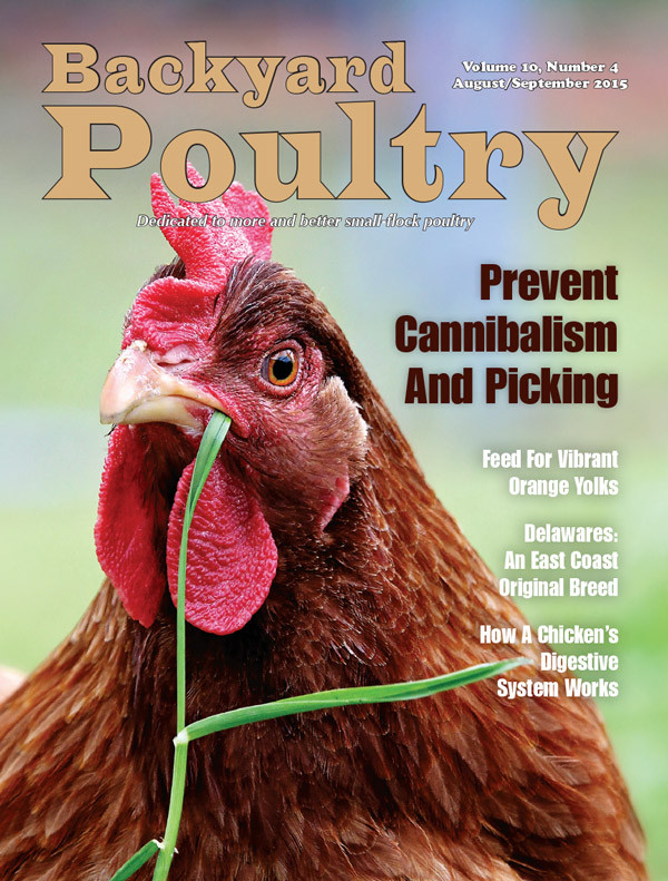 Best ideas about Backyard Poultry Magazine
. Save or Pin Backyard Poultry Magazine 1 year subscription Now.
