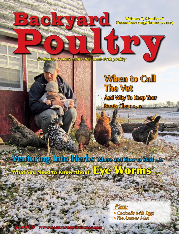Best ideas about Backyard Poultry Magazine
. Save or Pin Backyard Poultry Magazine Giveaway Now.