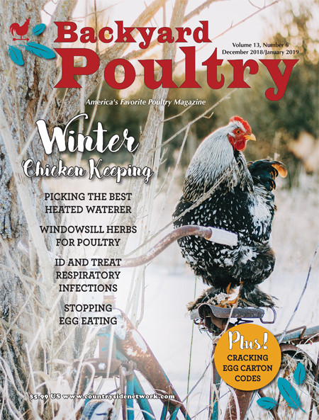 Best ideas about Backyard Poultry Magazine
. Save or Pin Backyard Poultry Magazine 1 year subscription Now.