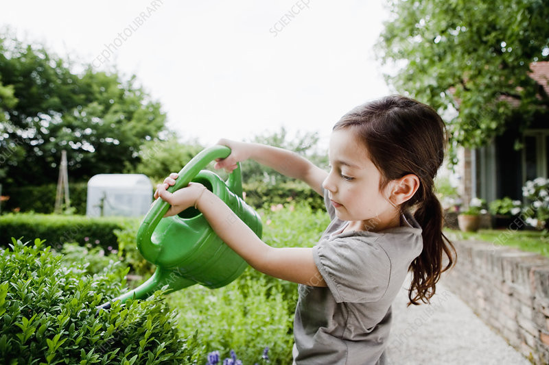 Best ideas about Backyard Scientist Girlfriend
. Save or Pin Girl watering plants in backyard Stock Image F005 2068 Now.