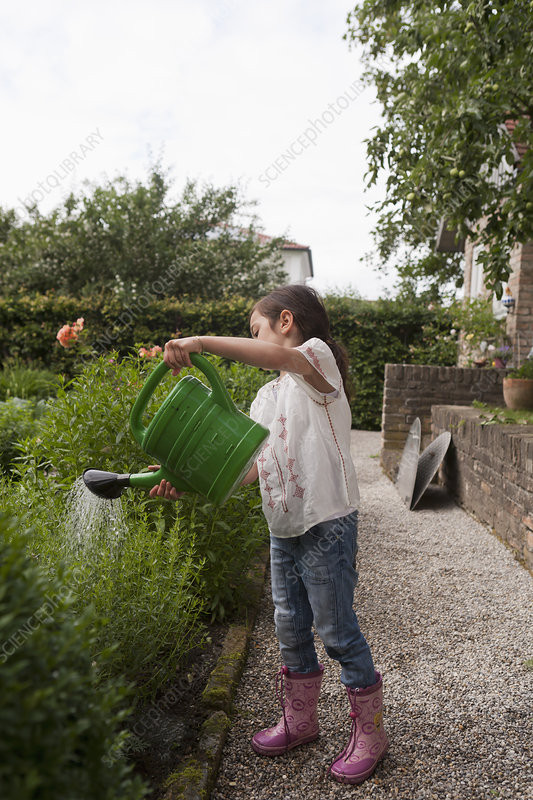 Best ideas about Backyard Scientist Girlfriend
. Save or Pin Girl watering plants in backyard Stock Image F005 2067 Now.